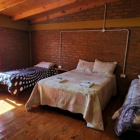 Antartida Argentina 453 Apart, Zapala Dep 1 Leilighet Eksteriør bilde